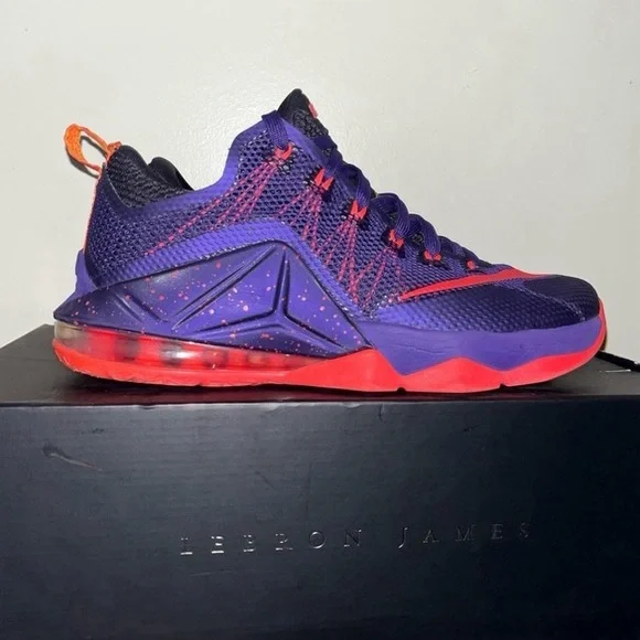 Nike Lebron 12 Low Court Purple - Picture 1 of 9